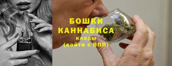 СК Долгопрудный