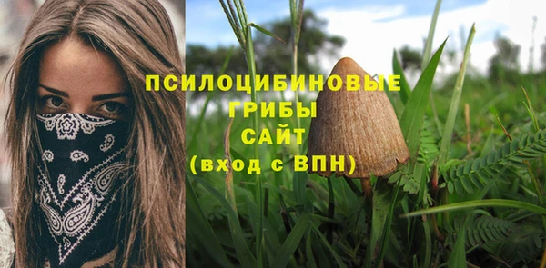 mix Магас
