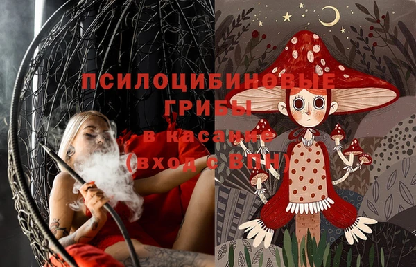 стаф Майский