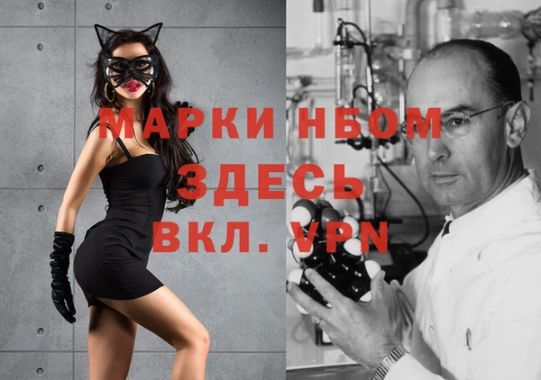 стаф Майский