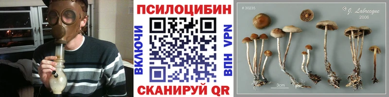 Псилоцибиновые грибы прущие грибы  купить наркотик  Алапаевск 