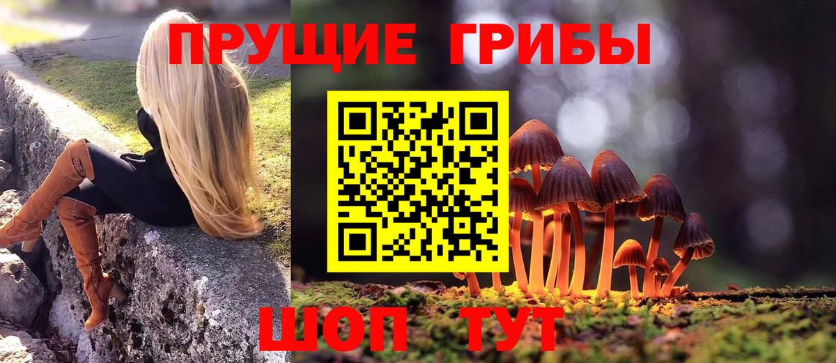Псилоцибиновые грибы мицелий Алапаевск